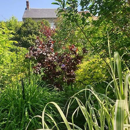 La Petite Maison Du Jardin D'Apollon Dourdan Eksteriør bilde